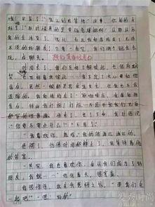 作文我心中的明星,揭秘我心中的明星风采