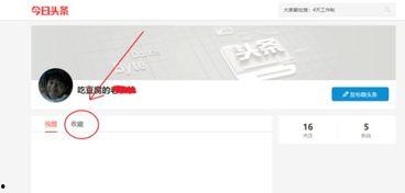 收藏的头条怎么查找,深度解析热门话题n2. 热门收藏头条大揭秘：热门话题背后的真相n3. 头条收藏热榜解析：热门话题背后的社会现象n4. 热门收藏头条盘点：深度解读热门话题背后的原因n5. 头条收藏热度分析：热门话题背后的社会心理n6. 热门收藏头条背后的秘密：深度解读热门话题n7. 头条收藏热榜揭秘：热门话题背后的社会动态n8. 热门收藏头条深度解析：热门话题背后的社会现象n9. 头条收藏热度揭秘：热门话题背后的社会心理n10. 热门收藏头条分析：热门话题背后的社会影响