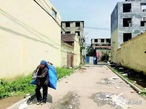 骆驼网红拆迁房,揭秘网红背后的故事与变迁