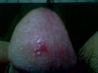 龟头条状,揭秘古老生物的独特形态与生存智慧