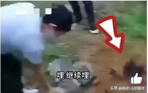 缅北爆料视频是真的么,真相还是谣言？