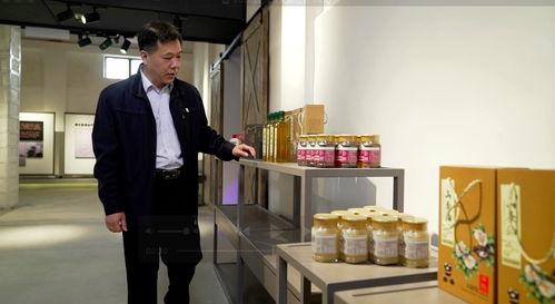 韶关武江区网红打卡,探寻城市新风尚的秘境之旅