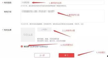 今日头条新人报名,抓住机遇开启自媒体新篇章！