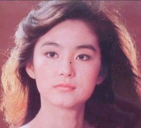 老牌明星奥,岁月流转，星光依旧璀璨