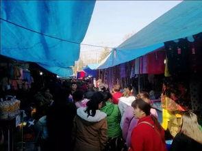 西乡新闻头条,聚焦重大事件，揭示社会动态