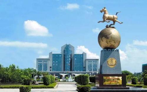 海南琼海网红排名第几,揭秘热门网红排名TOP X