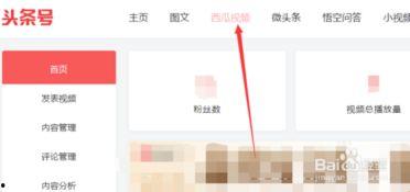 下载头条号里面的视频,带你领略精彩瞬间